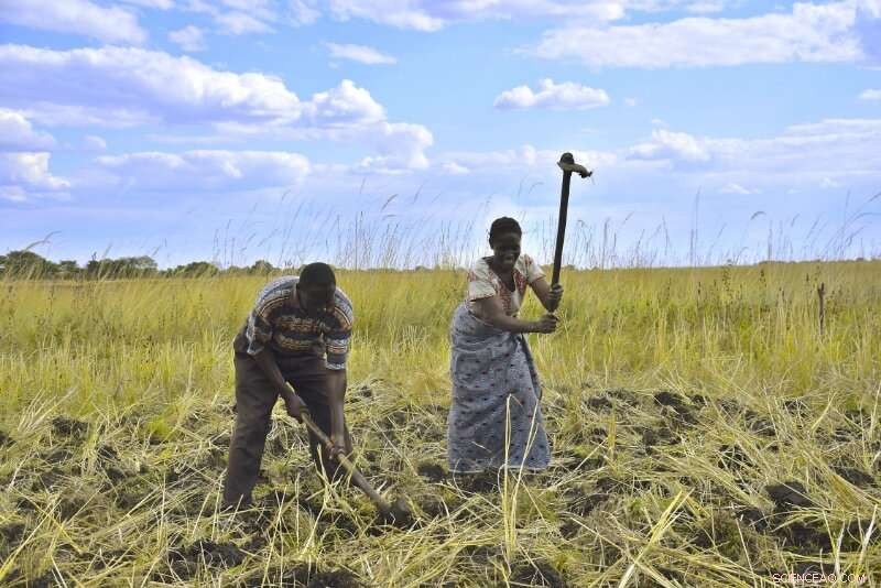 Harnessing Local Solutions for Sustainable Agriculture in Zambia’s Barotse Floodplain