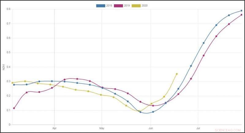 Satellite Imaging Delivers Vital Crop Insights Amid COVID-19