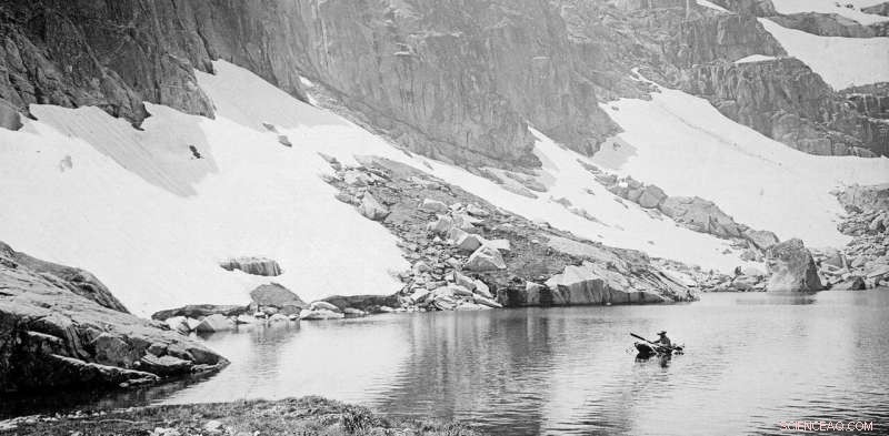 Preserving the Australian Alps: The Science and Courage Behind Their Survival