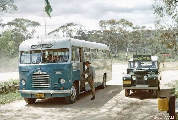 Preserving the Australian Alps: The Science and Courage Behind Their Survival