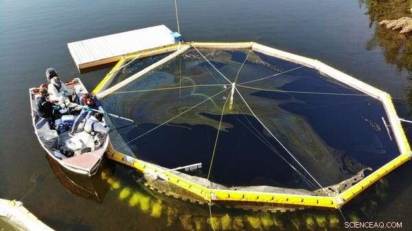 Controlled Oil Spill in a Canadian Lake: Scientists  Purpose and Findings