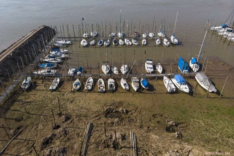 Argentina s Parana Delta Faces Record-Setting Fires, Threatening Its Rich Biodiversity