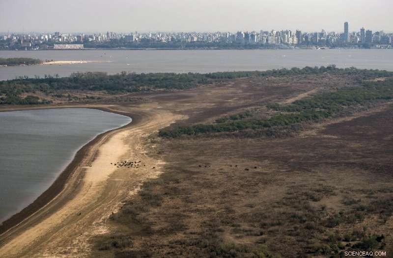 Argentina s Parana Delta Faces Record-Setting Fires, Threatening Its Rich Biodiversity