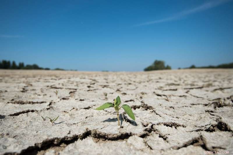 Study Reveals Climate Change Will Extend Droughts Across Europe