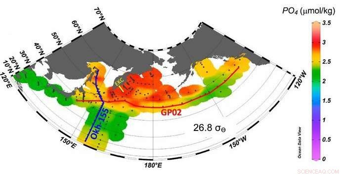 How Subpolar Marginal Seas Boost Nutrient Levels in the Subarctic Pacific