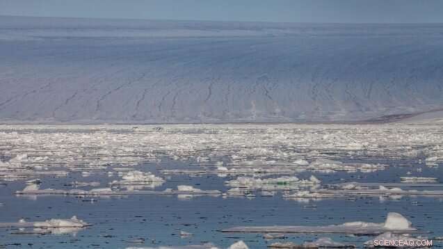 Pesticides and Industrial Pollutants Detected in Snow on Arctic Glaciers