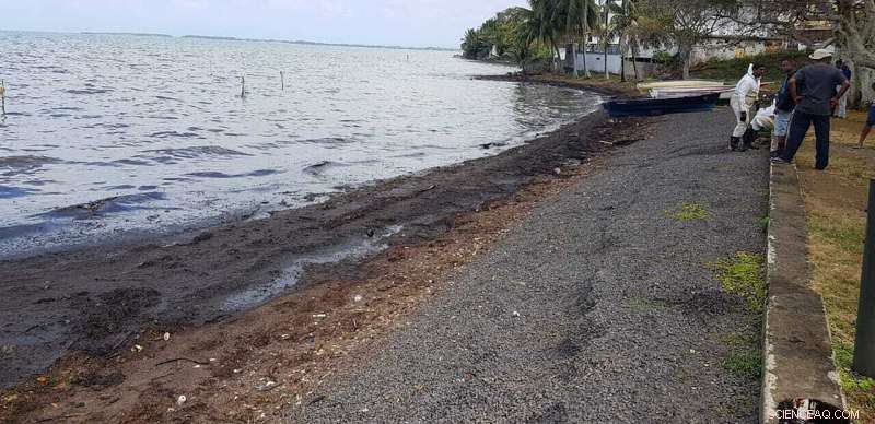 Mauritius Mobilizes Rapid Response to Contain MV Wakashio Oil Spill and Safeguard Coastline