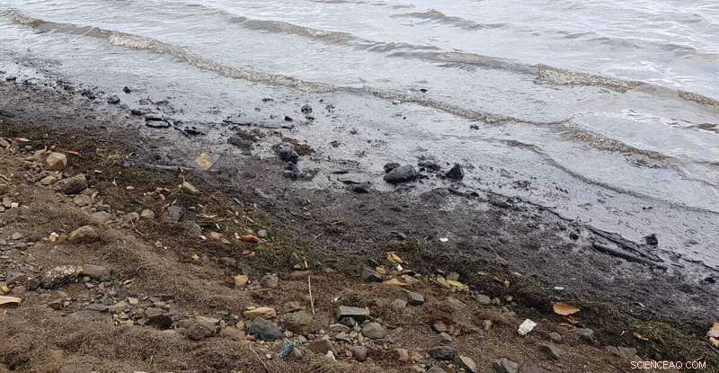 Mauritius Mobilizes Rapid Response to Contain MV Wakashio Oil Spill and Safeguard Coastline