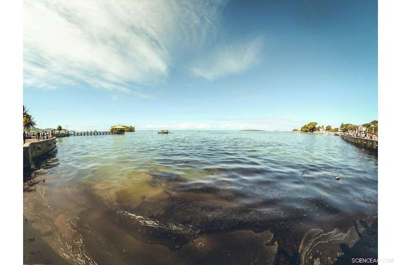 Mauritius Mobilizes Rapid Response to Contain MV Wakashio Oil Spill and Safeguard Coastline