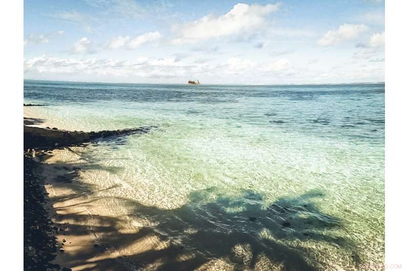 Mauritius Mobilizes Rapid Response to Contain MV Wakashio Oil Spill and Safeguard Coastline