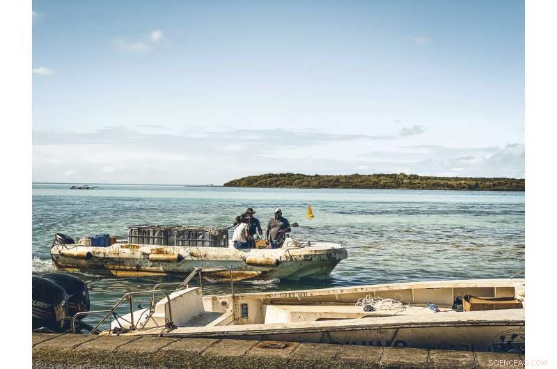 Mauritius Mobilizes Rapid Response to Contain MV Wakashio Oil Spill and Safeguard Coastline