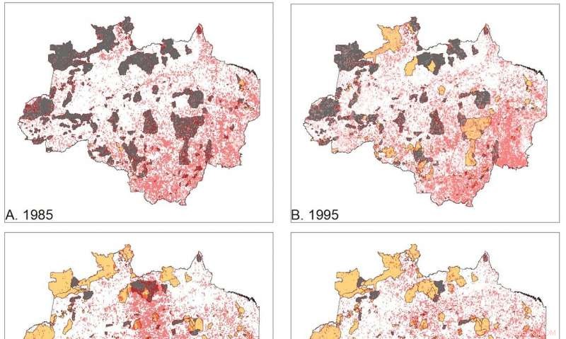 Indigenous Property Rights: A Critical Shield for the Amazon Rainforest