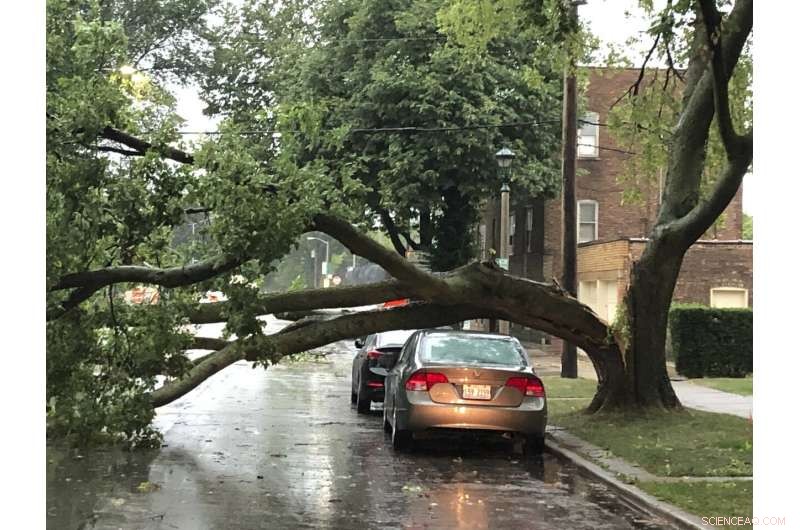 Severe Midwest Storm Claims Two Lives, Causes Extensive Crop Damage