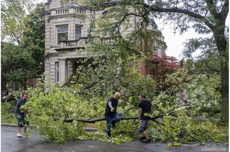 Severe Midwest Storm Claims Two Lives, Causes Extensive Crop Damage
