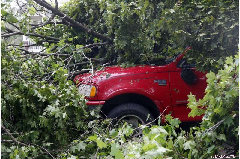 Severe Midwest Storm Claims Two Lives, Causes Extensive Crop Damage