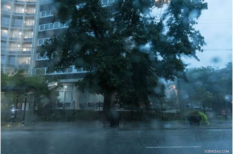 Severe Midwest Storm Claims Two Lives, Causes Extensive Crop Damage