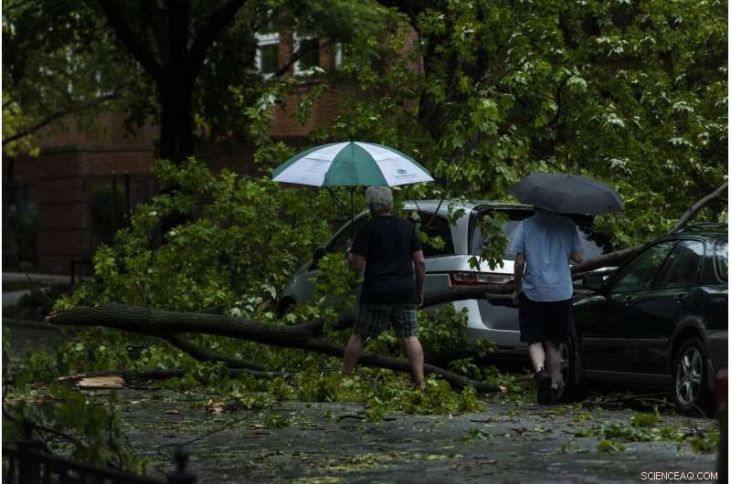Severe Midwest Storm Claims Two Lives, Causes Extensive Crop Damage