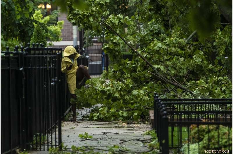 Severe Midwest Storm Claims Two Lives, Causes Extensive Crop Damage