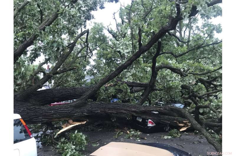 Severe Midwest Storm Claims Two Lives, Causes Extensive Crop Damage
