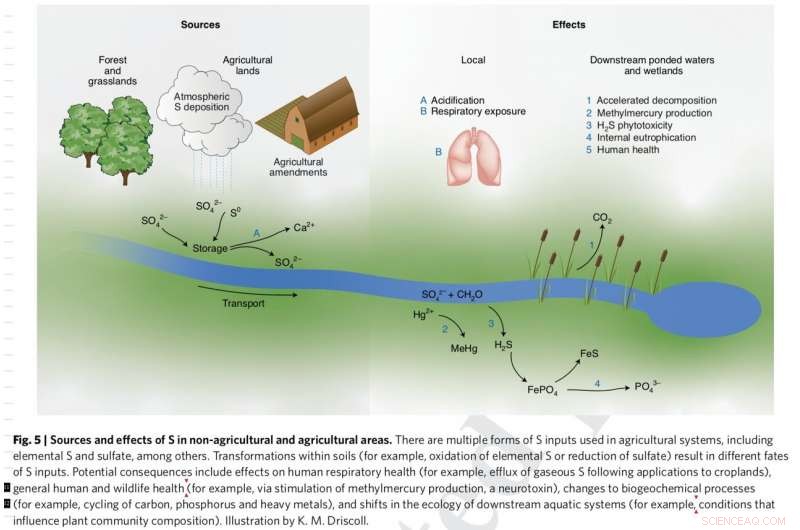 Agriculture Surpasses Fossil Fuels as the Leading Human Source of Sulfur Emissions