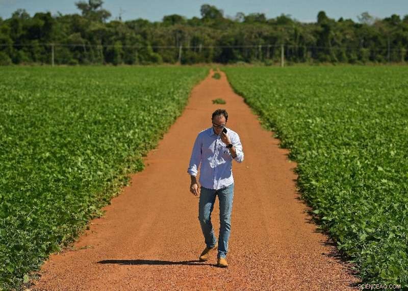 Brazilian Farmers Thrive Amid Booming Business, Yet Deforestation Threats Persist