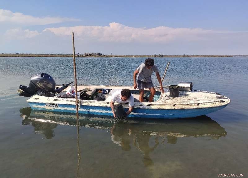 Venice Revitalizes Lagoon, Restoring Ecological Health