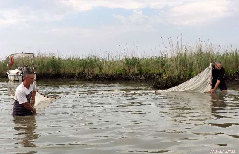 Venice Revitalizes Lagoon, Restoring Ecological Health