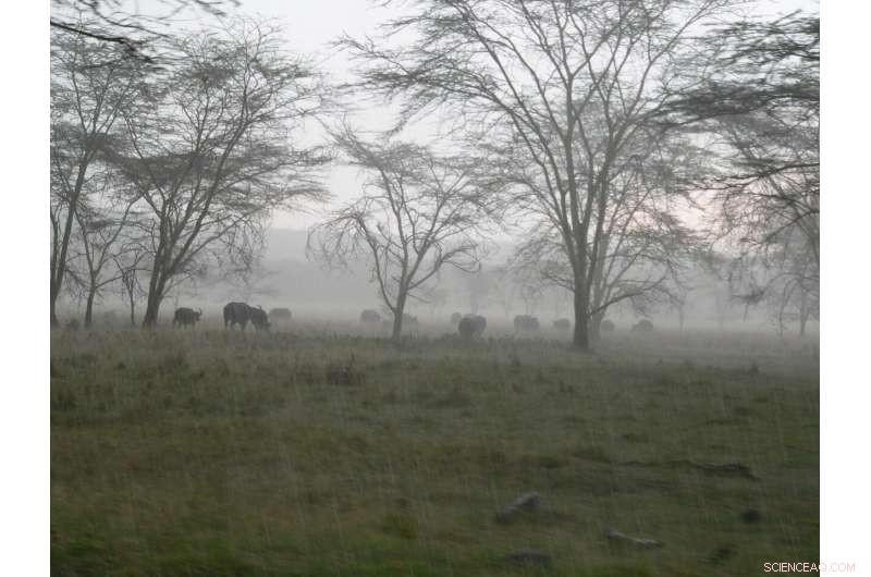 East Africa Faces Rising Seasonal Rainfall as Climate Change Accelerates