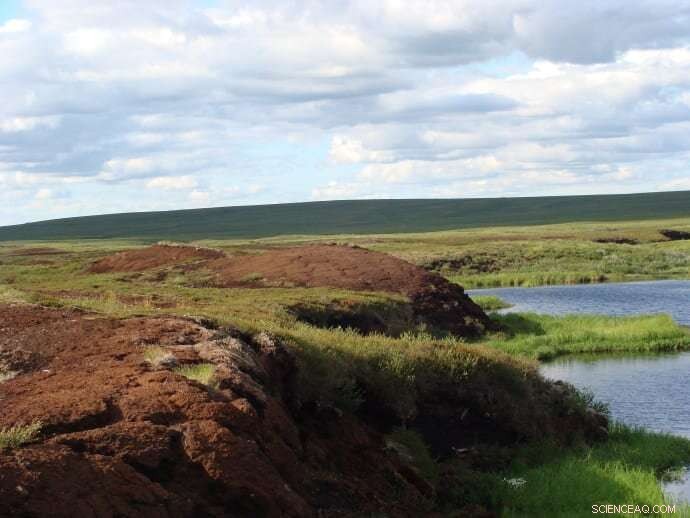 Permafrost Thaw Threatens Peatland Carbon and Nitrogen Stores