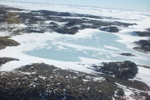 Unveiling Antarctic Lake Microbes: Secrets of Life in Extreme Cold