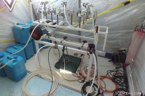 Unveiling Antarctic Lake Microbes: Secrets of Life in Extreme Cold