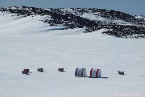 Unveiling Antarctic Lake Microbes: Secrets of Life in Extreme Cold