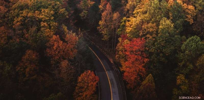 Did the COVID‑19 Pandemic Miss Its Chance to Build a Better World?