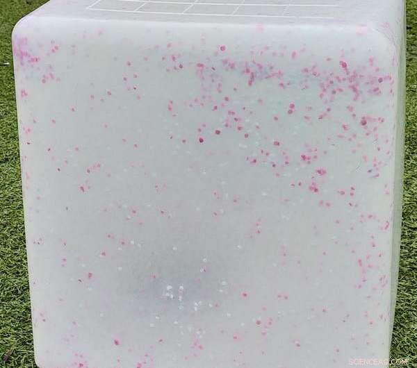 Turning Plastic Waste into Sustainable Solutions