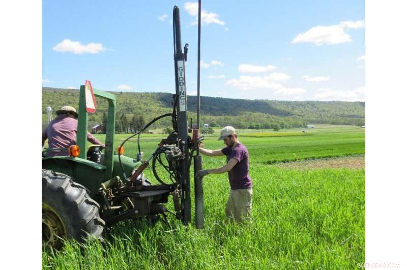 Cover Crop Roots: The Crucial Factor for Unlocking Ecosystem Services