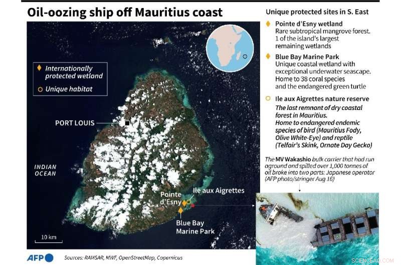 Oil-Leaking Ship off Mauritius Splits in Two, Highlighting Maritime Safety Concerns