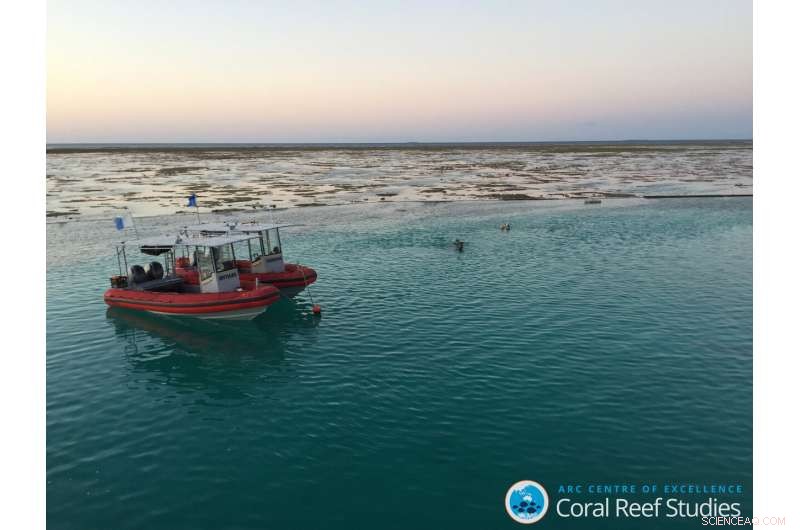 Balancing Human Activity and Ecosystem Health on the Great Barrier Reef