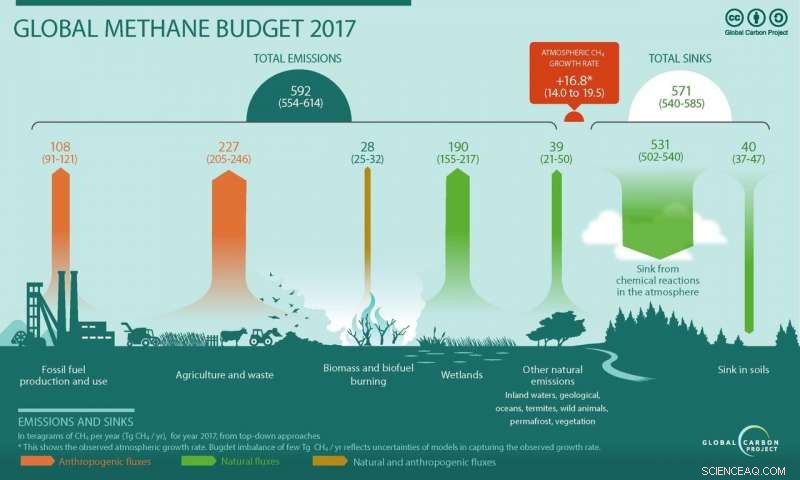 Q&A: Rising Global Methane Emissions – What Role Do Wetlands Play?