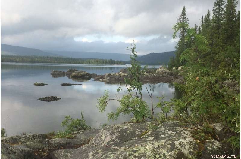 Daytime Surge in Methane Emissions from Northern Lakes Revealed