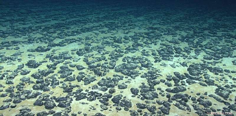 Rapid Expansion of Deep-Sea Mining Raises Unknown Risks to Ocean Life
