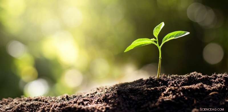 Australia s Soil Carbon Storage Plan: A Questionable Path to Climate Mitigation