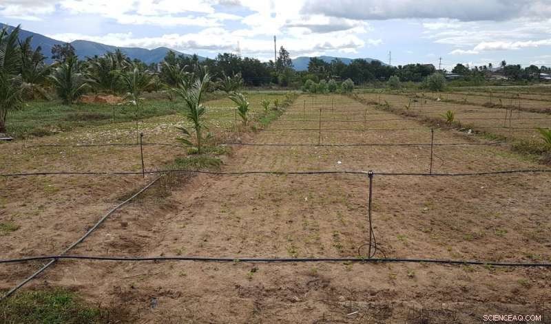 Farmers Champion Sustainable Water Use in Vietnam