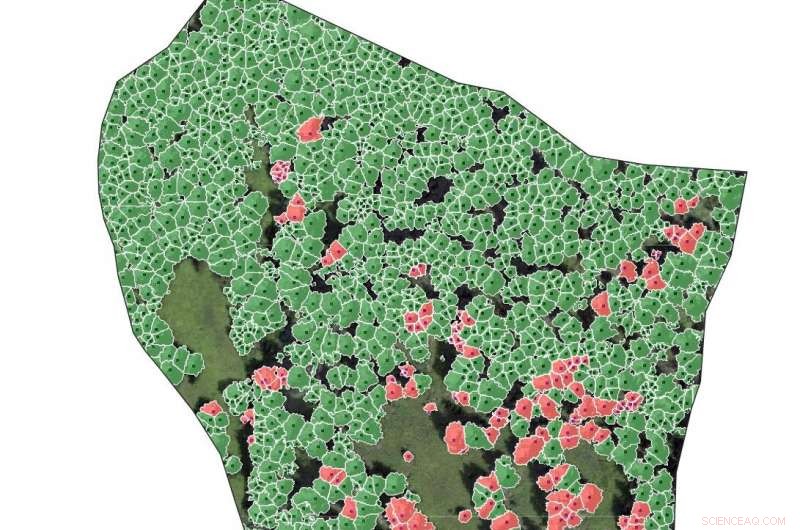 Assessing Avalanche Protection in Vaud Forests: Pre- and Post-Fire Modeling