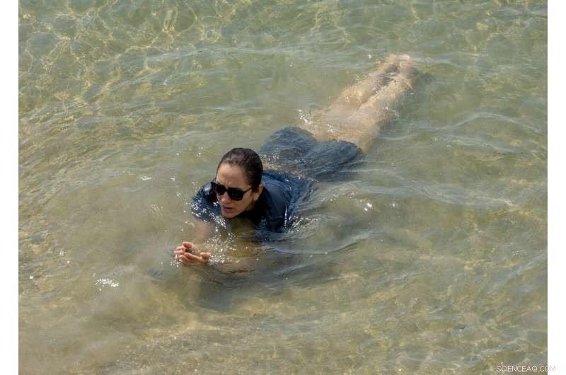 California Prevents Additional Blackouts Amid Heat Wave