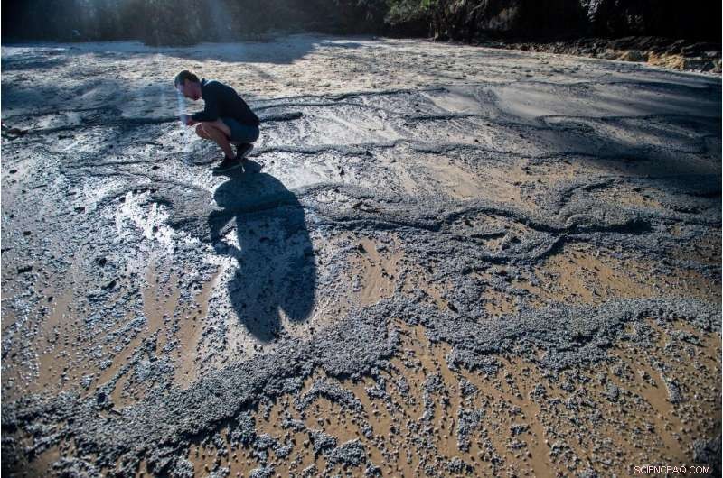 Pumice Raft from Tonga Boosts Australian Reefs with Essential Nutrients