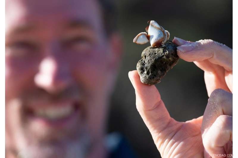 Pumice Raft from Tonga Boosts Australian Reefs with Essential Nutrients