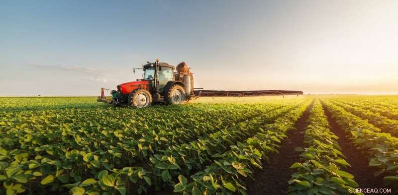 Limited Cropland: 7 m² per Person Daily—How Excess Alcohol & Pizza Threaten Sustainability