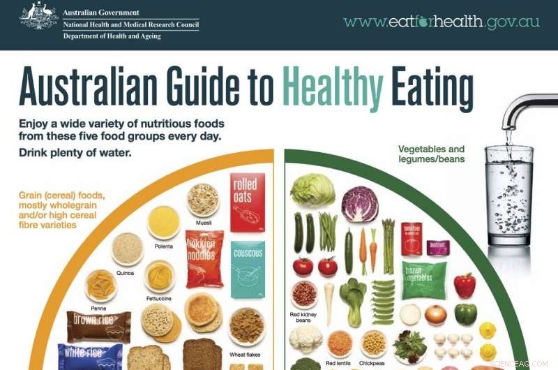 Limited Cropland: 7 m² per Person Daily—How Excess Alcohol & Pizza Threaten Sustainability