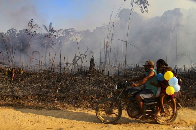 Amazon Fires Persist in 2020 Despite Conservation Promises