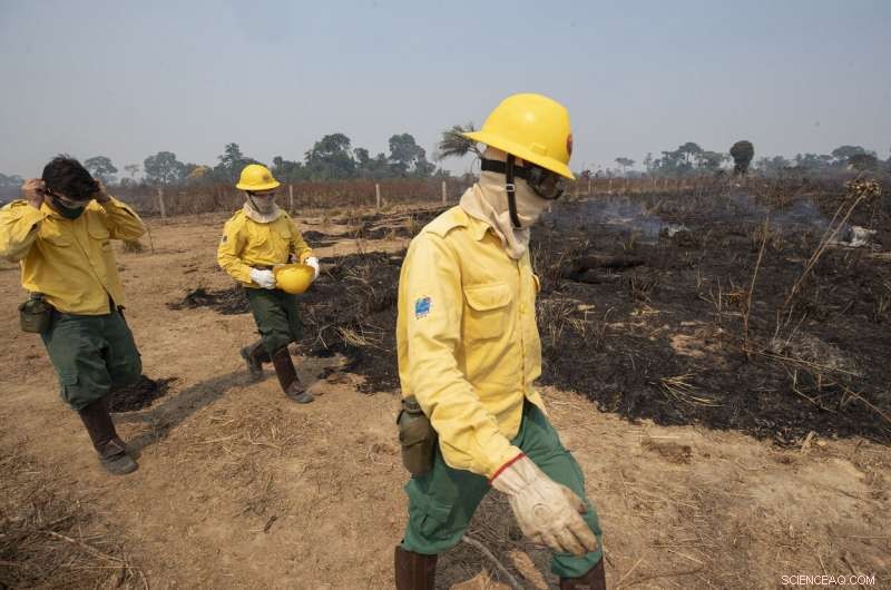Amazon Fires Persist in 2020 Despite Conservation Promises
